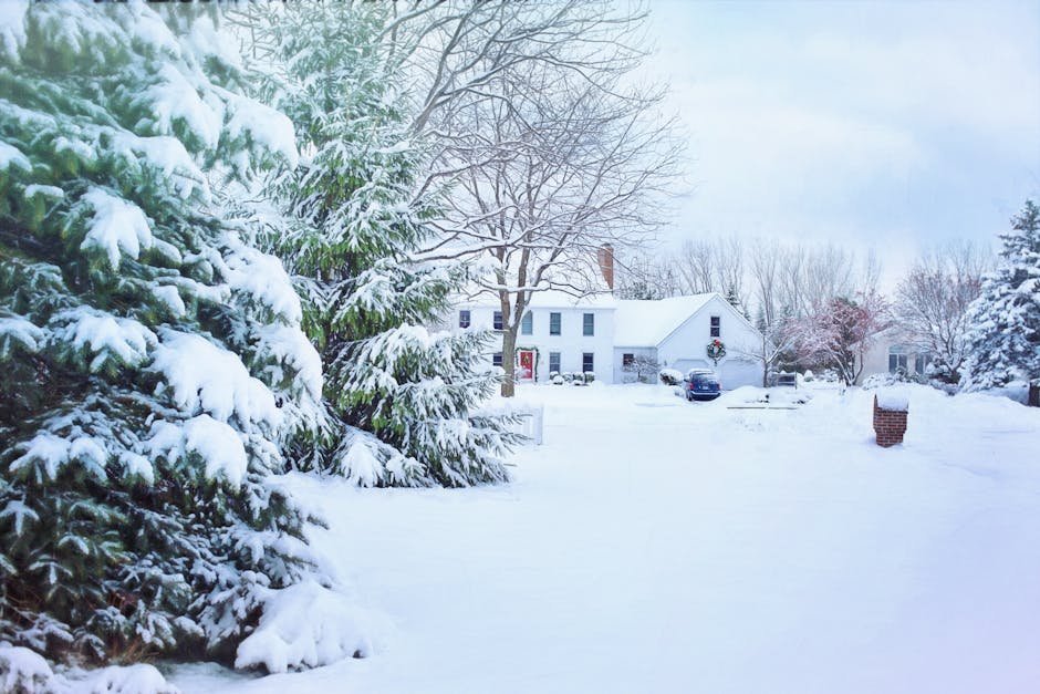 Beautiful snowy neighborhood with frosted trees and a cozy house in winter.